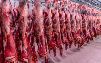 Brasil amplia exportação de carne bovina ao Vietnã
