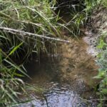 Cerrado ganha ação para recuperação de nascentes e proteção de mananciais