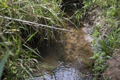 Cerrado ganha ação para recuperação de nascentes e proteção de mananciais