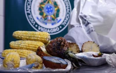 MAPA atualiza regra para entrada de produtos agropecuários no país