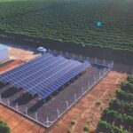 Mercado de energia limpa avança no campo e ajuda produtores a economizar