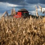 O que produtores devem esperar do clima nos próximos meses nas diferentes regiões do Brasil?