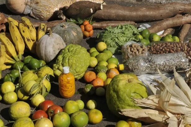 Prazo para adesão ao PAA termina em 19 de janeiro para municípios do Norte e Nordeste