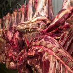 Restrição da China à carne bovina pode causar impacto de US$ 3 bilhões ao Brasil