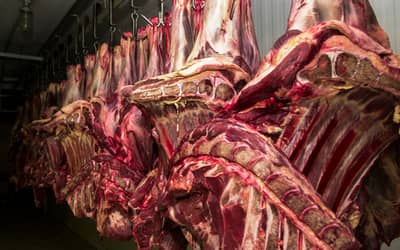 Restrição da China à carne bovina pode causar impacto de US$ 3 bilhões ao Brasil