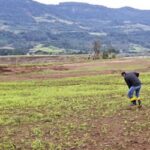 Seguro Rural fecha 2025 com 3,2 milhões de hectares segurados, pior desempenho em 10 anos