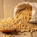 Soja e trigo: confira as cotações de preço para esta terça-feira (6)