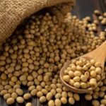 Soja e trigo hoje: confira as cotações para esta segunda-feira (12)