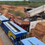 Transnordestina transporta 946 toneladas de sorgo em segundo teste operacional
