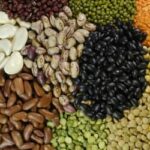 Exportações de pulses do Brasil sobem 30% em 2025, com destaque para o feijão