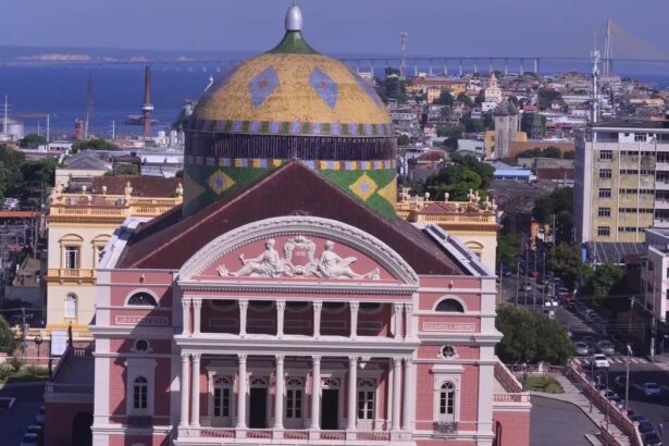 Preço da gasolina e diesel em Manaus (AM): veja os valores médios