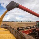 Produção de grãos e fibras no país deve cair 3,4 milhões de toneladas