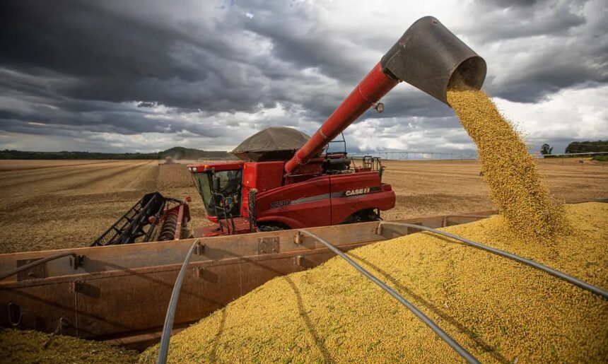 PIB cresce 2,3% em 2025 e alcança os R$ 12,7 trilhões, impulsionado por safras recordes de milho e soja