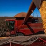 PIB da agropecuária avança 11,7% e contribui para fortalecimento da economia em 2025