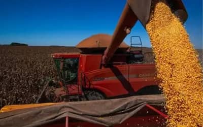 PIB da agropecuária avança 11,7% e contribui para fortalecimento da economia em 2025