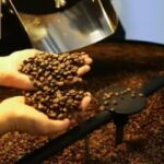 Café, Açúcar e Milho: Preços em Baixa no Estado de São Paulo (03/06)