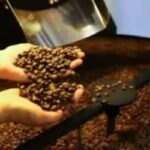 Café hoje: confira cotações para esta quarta-feira (10)