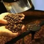 Café hoje: confira cotações para esta quinta-feira (11)