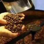Café hoje: confira cotações para esta sexta-feira (12)