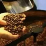 Preços de café, açúcar e milho apresentam variações em São Paulo (16)