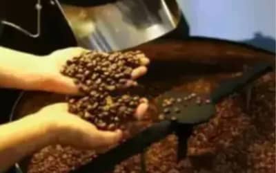Preços de café, açúcar e milho apresentam variações em São Paulo (16)