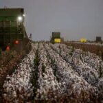 Câmara aprova Projeto de Lei que reformula política agrícola e PSR (27/04)