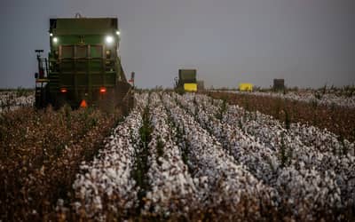 Câmara aprova Projeto de Lei que reformula política agrícola e PSR (27/04)