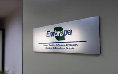 Embrapa inaugura escritório em São Paulo e assina parceria com Grupo Carrefour Brasil (2/05)