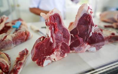 Federação paranaense cobra ‘celeridade máxima’ para evitar embargo da UE às carnes brasileiras