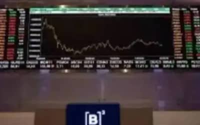 Ibovespa fecha em 173.205 pontos, influenciado pela baixa liquidez no mercado (último pregão)