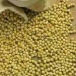 Valor da saca de 60 kg da soja entra em queda no Paraná e alta em Paranaguá (9)