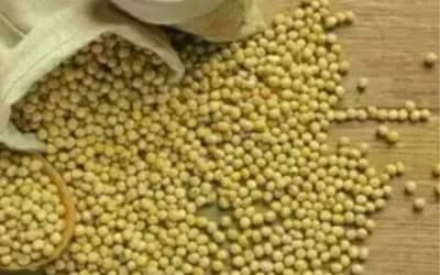 Valor da saca de 60 kg da soja entra em queda no Paraná e alta em Paranaguá (9)