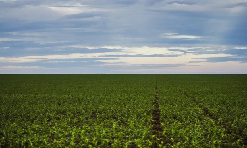 Projeto de Lei 2951/24: Uma Reforma Agrícola em Pauta no Congresso Nacional (fim de maio)