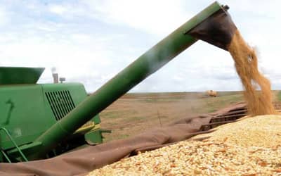 Agronegócio brasileiro lidera exportações em junho de 2026 (6)