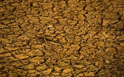 Governo apresenta contraproposta para renegociação de dívidas rurais