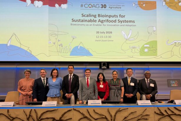 Brasil apresenta nas Nações Unidas soluções sustentáveis para ampliar uso de bioinsumos no campo
