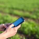 Expansão do 4G no campo: Pernambuco soma mais de 200 localidades conectadas