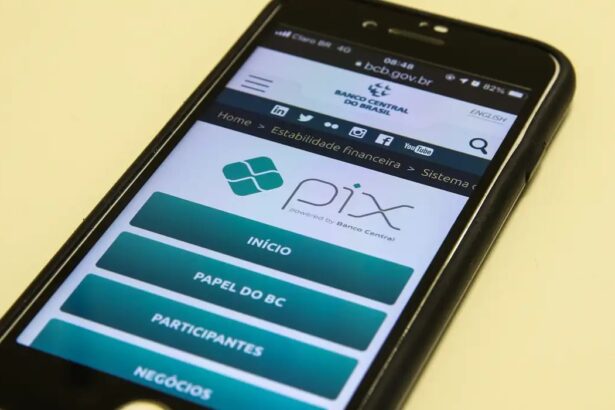 Senado Aprova Projeto que Cria Meio de Pagamento Automático da Pensão Alimentícia via Pix Pensão (até 30/06)