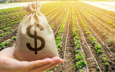 Agro inicia safra 2026/27 com R$ 580,78 bilhões em CPRs