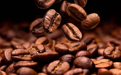 Café hoje: confira cotações para esta segunda-feira (10)