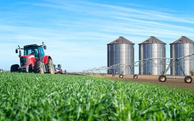 Agronegócio Brasileiro Registra Crescimento de 5,4% nas Exportações em Julho de 2026 (julho de 2026)