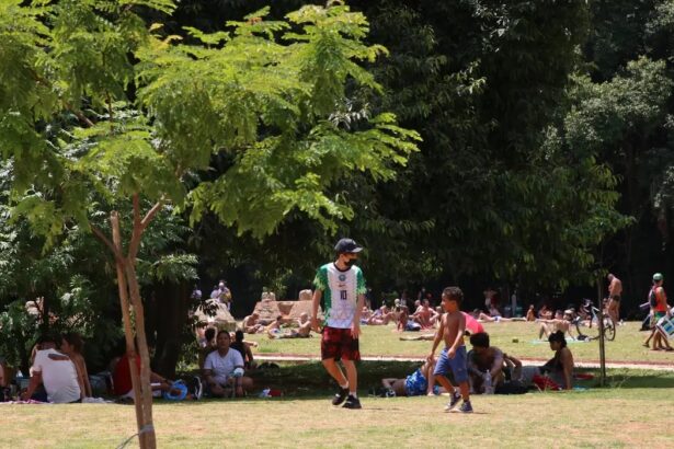 Microempreendedores do turismo de SP, inscritos no CadÚnico, têm acesso a linha de crédito de até R$ 21 mil
