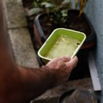 São Paulo registra mais de 58 mil casos de dengue em 2026 (domingo (6))