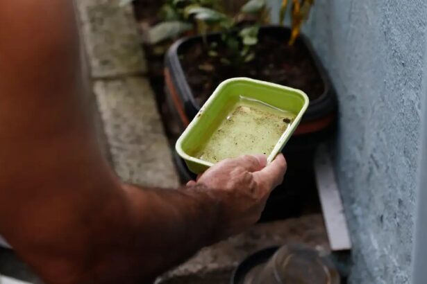 São Paulo registra mais de 58 mil casos de dengue em 2026 (domingo (6))