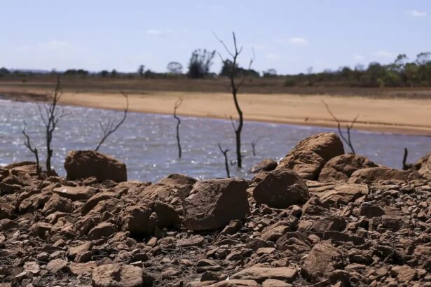 Prognóstico agroclimático: Inmet alerta produtores rurais sobre seca no Norte e chuvas excessivas no Sul