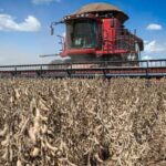 Recuperações judiciais no agro brasileiro sobem 56% e secretário de São Paulo cobra previsibilidade para o setor