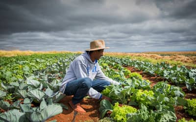 Frente Parlamentar da Agropecuária exige ajustes na renegociação de dívidas rurais