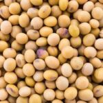 Preços da soja e do trigo caem no Paraná na segunda-feira (14)