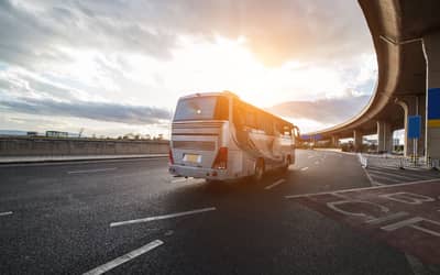 Planejamento de excursões e viagens de grupo exige atenção redobrada