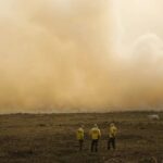El Niño: Embrapa recomenda medidas para conservar a água e reduzir os efeitos do estresse hídrico e térmico, no Sudeste